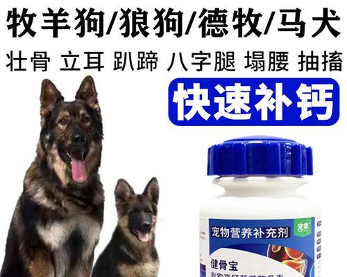 狗狗为什么需要补钙？（了解狗狗补钙的必要性及方法）