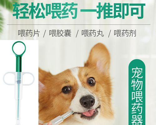 怎样判断狗狗是否发烧？（通过观察行为和测量体温来判断狗狗是否发烧）