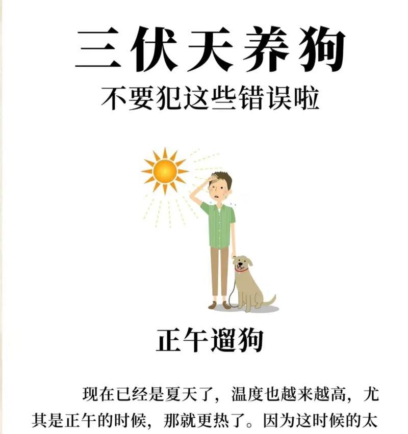 狗狗的成长（关注狗狗的生理和行为变化，提供合适的护理和教育）