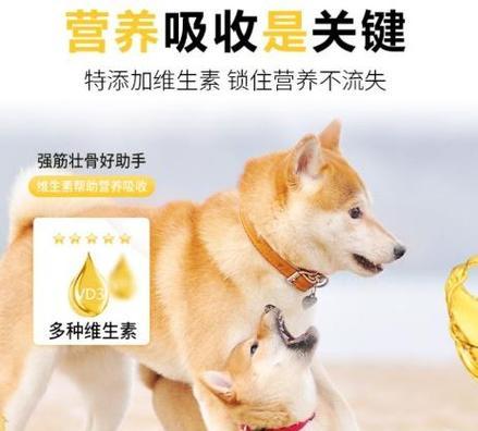 幼犬何时可以开始吃狗粮？（给你的小狗提供适当的营养是关键）