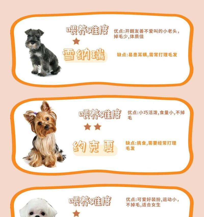 年幼的泰迪和成年的泰迪的食量变化（从幼崽到成犬，泰迪犬的饮食需求如何变化）