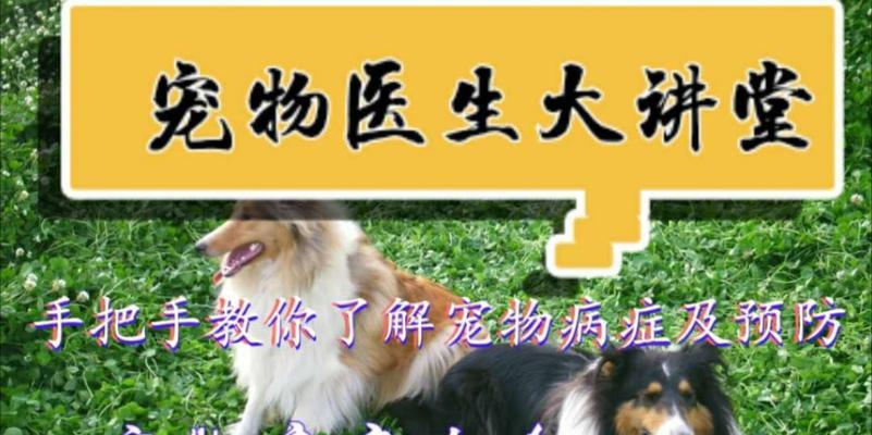 狗狗的健康离不开规律排便（狗狗每天排便次数的重要性与规律）