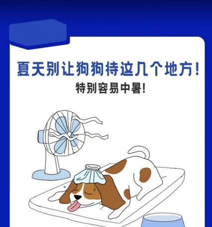 狗狗也会中暑吗？（如何正确处理狗狗中暑的紧急情况）