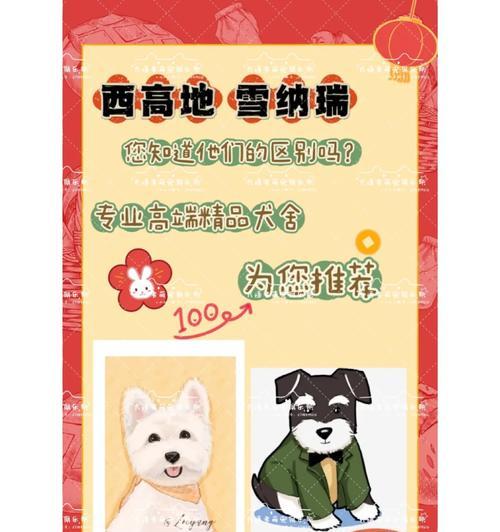 雪纳瑞从小到大的喂养技巧（如何科学合理地喂养梗类犬）