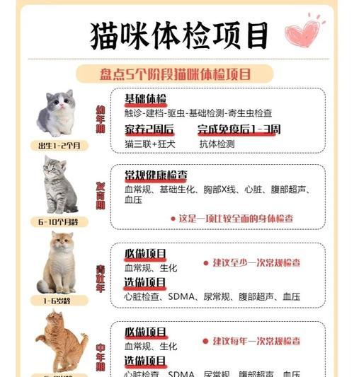 快速判断猫咪年龄的方法（揭秘猫咪年龄的指标和技巧）
