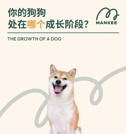 新生狗狗的眼睛何时睁开？（了解为什么新生幼犬一开始闭着眼睛）