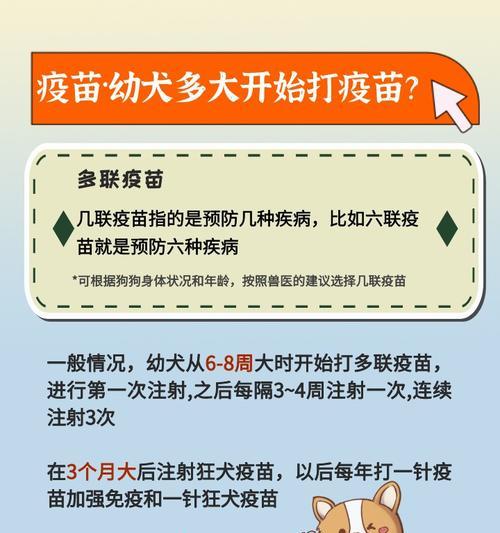 狗狗疫苗（了解不同联合疫苗对狗狗健康的重要性）
