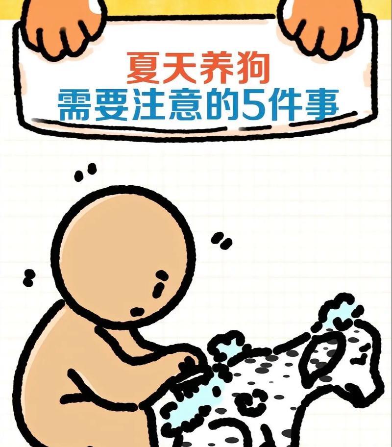 夏季养狗要注意的问题（宠物狗在夏季饮食、保暖、防病等方面的注意事项）