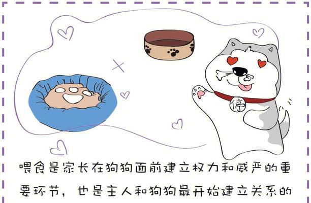 刚出生的小狗喂养注意事项（为你的小狗提供健康成长所需的饮食和护理）