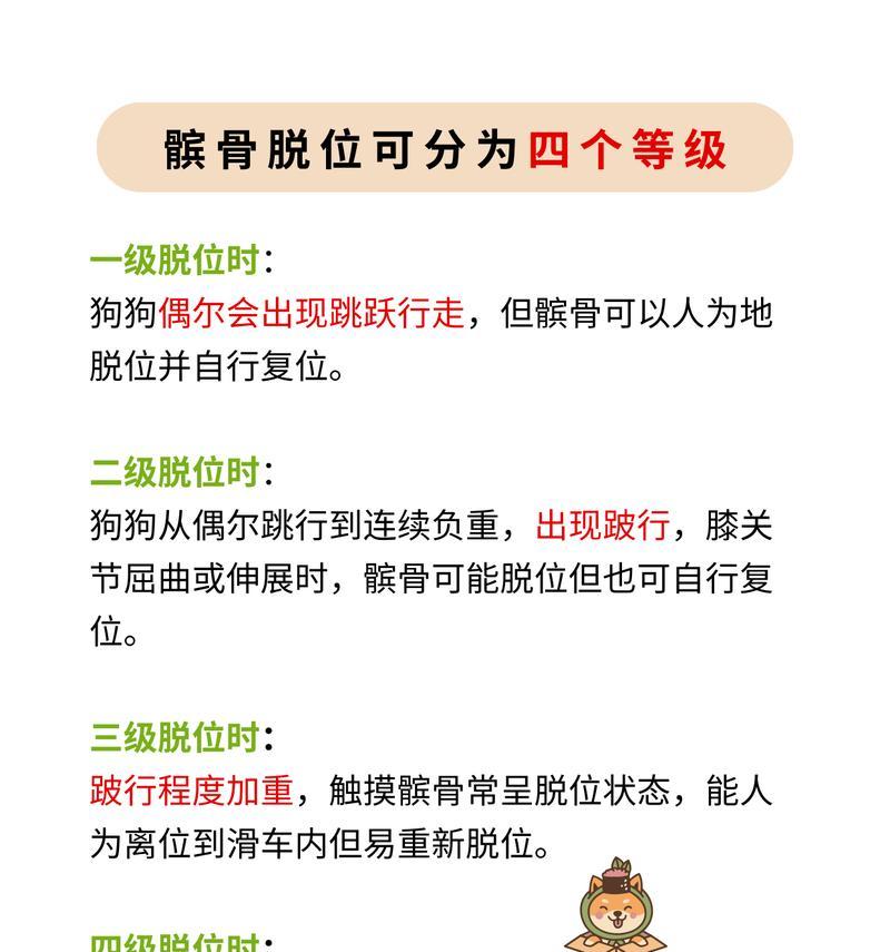 狗狗髌骨脱位的原因和治疗方法（了解狗狗髌骨脱位及应对之道）