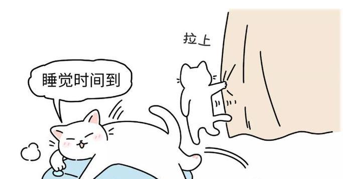 猫咪体温测量方法详解（如何正确给猫咪测量体温，有效防控疾病？）