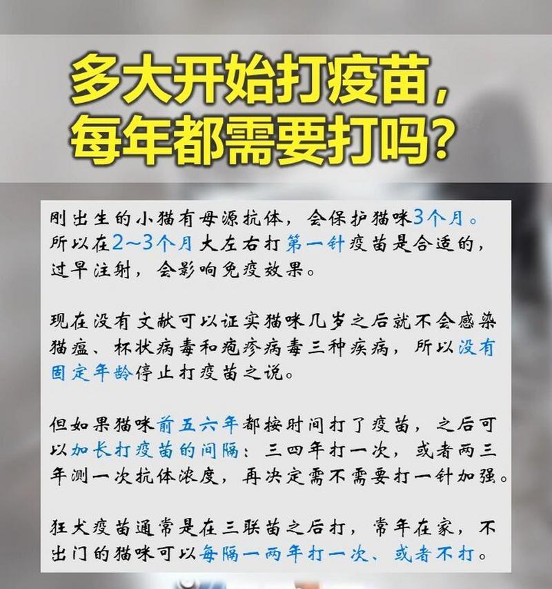 猫咪疫苗的重要性及相关知识（保护爱宠免受疾病侵袭，猫咪疫苗不可或缺）