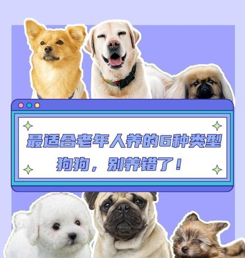 最受欢迎的狗狗品种价格一览（了解各大品种狗狗的最新价格和基本特点）