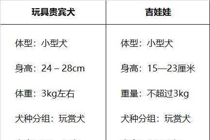 幼犬泰迪的饲养方法——健康的成长之道（了解泰迪狗粮摄食量，让宝宝健康成长）