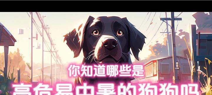 狗狗怕热，防中暑从我做起（预防狗狗中暑的有效方法）