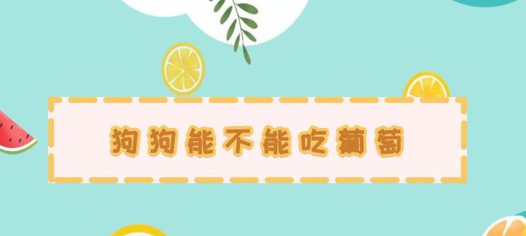 狗狗可以吃葡萄吗？（了解狗狗食物安全，保护宠物健康。）
