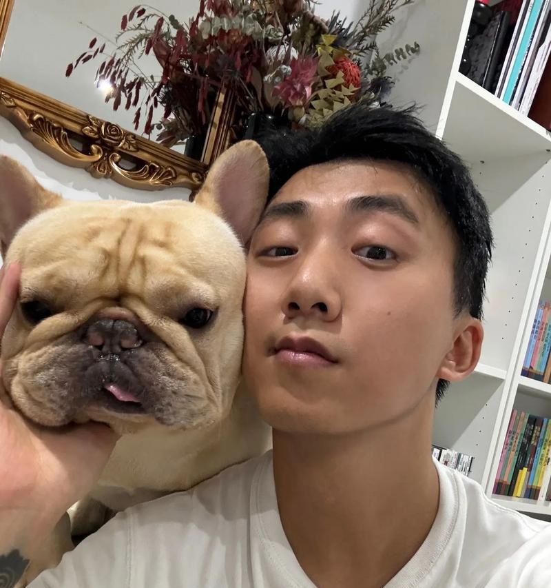 饲养法国斗牛犬的基本常识（培养幸福与健康的法国斗牛犬生活）