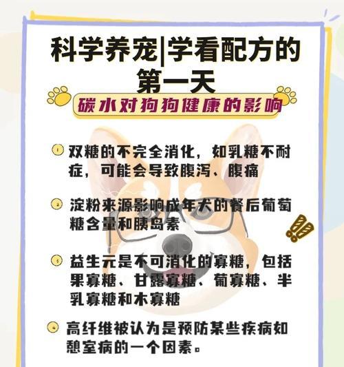科学喂养家里的狗狗（掌握合适的狗粮喂养量，让宝贝健康成长）