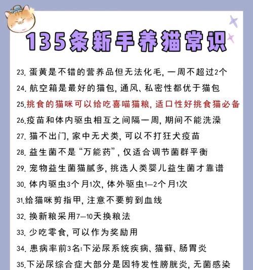 养猫宝典（从喂食到日常护理，一本全面指南帮你成为猫奴！）