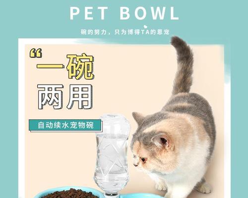 泰迪为什么突然大量喝水？（分析泰迪大量喝水的原因及应对方法）