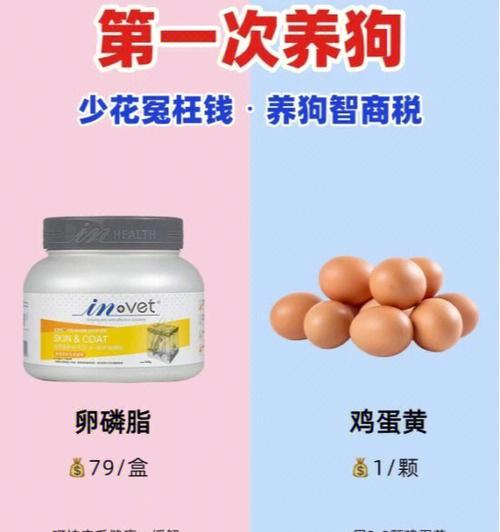 养狗的费用（揭秘养狗的经济负担，你准备好了吗？）