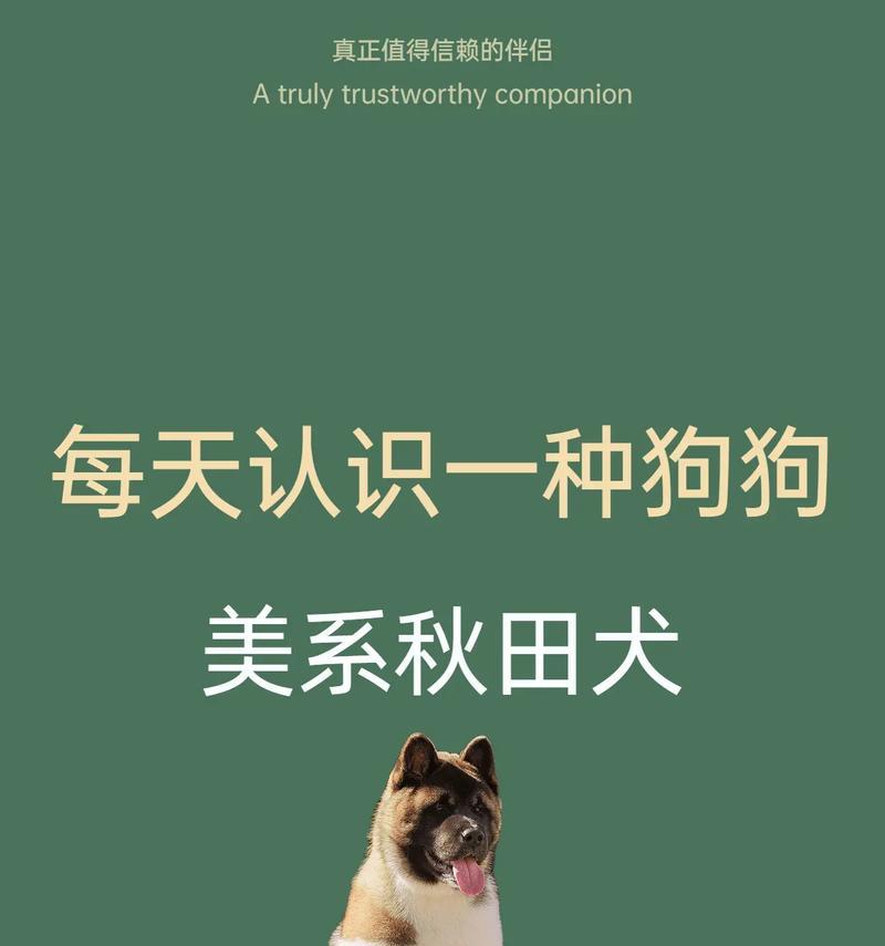 秋田犬的养育指南（养好秋田犬，让它成为你的最佳伴侣）