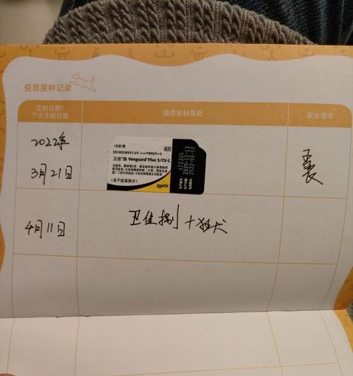 给狗狗打疫苗（了解狗狗疫苗接种程序及常见问题解答）
