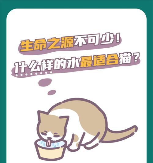 猫咪的水分需求及促进喝水的方法（合理饮水量的重要性及养成良好饮水习惯的技巧）