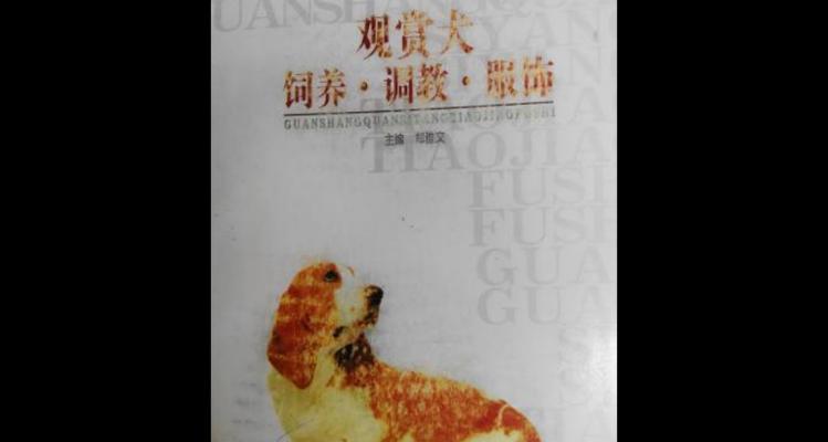 科学饲喂老龄犬的关键要点（老龄犬饮食需求与合理配比）