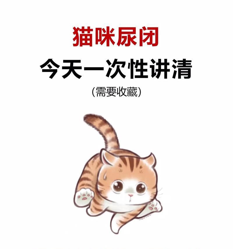 猫闭尿治疗费用及措施（帮助猫咪排尿的有效方法）