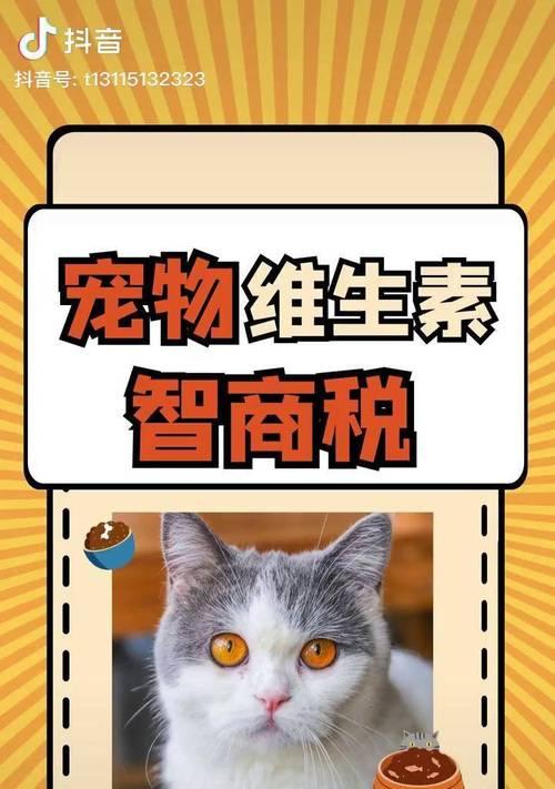 猫为什么需要维生素？（探究猫体内维生素的作用及供应方式）