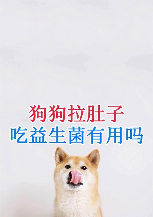 狗狗吃益生菌的好处（为你的宠物提供健康的肠道微生态）