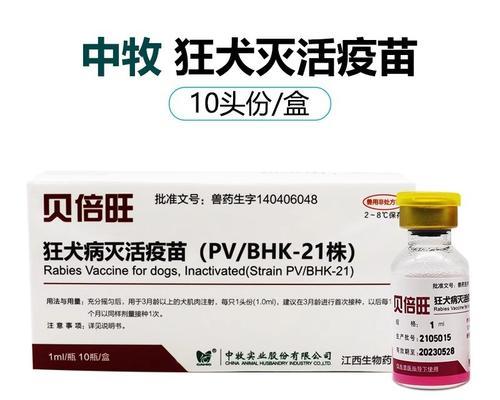 泰迪疫苗接种计划解析（探究泰迪疫苗的接种次数及注意事项）