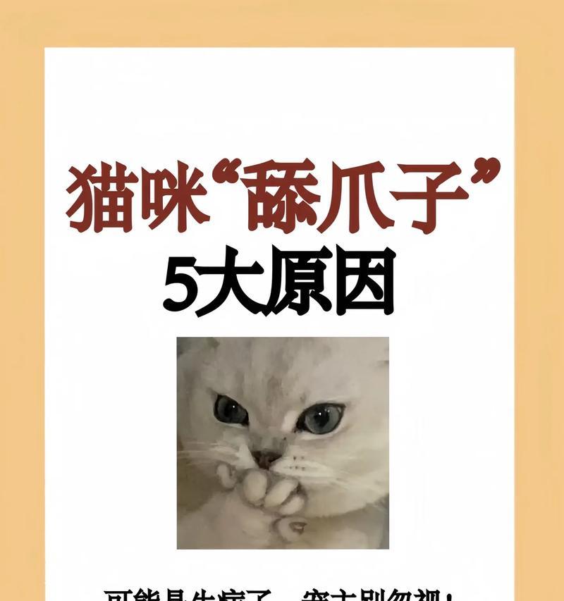 揭秘猫咪为何喜欢舔人眼睛（探索猫咪舔人眼睛的原因和意义）