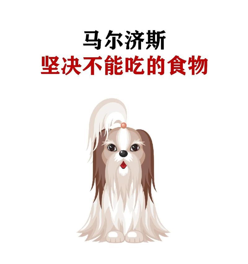 狗如何保持安静不叫？（探索让狗保持安静的秘诀）