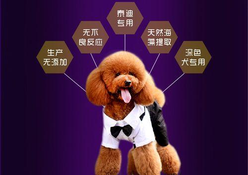 狗狗为什么吃虾红素？（探究虾红素在狗狗饮食中的重要性）