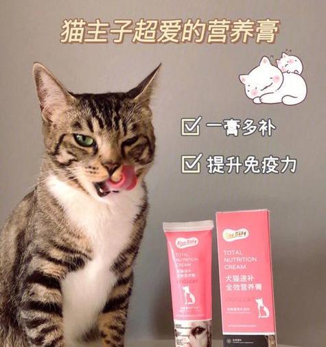 猫咪的药物使用指南（了解猫咪可用药品，保护它们的健康）