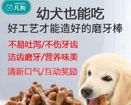 给狗狗喂什么骨头？（了解狗狗适宜食用的骨头种类）