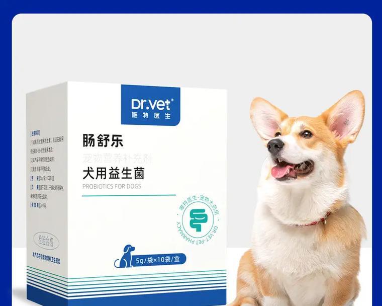 解决狗狗拉稀问题的药物治疗指南（探讨有效药物缓解狗狗拉稀情况的方法及注意事项）