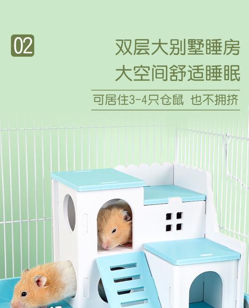 夏日清凉，仓鼠的天堂（打造舒适仓鼠笼子，让它们度过炎热夏天）