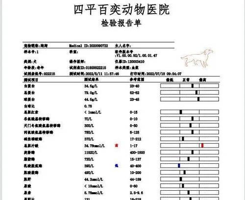 全面了解狗体检项目，守护宠物健康