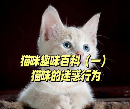 猫的神奇本领（探索猫的非凡能力和特长）