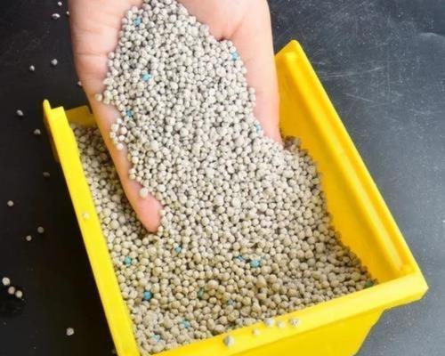 仓鼠的最佳下面殿选择（探索仓鼠最喜欢的下面殿材料及关键因素）