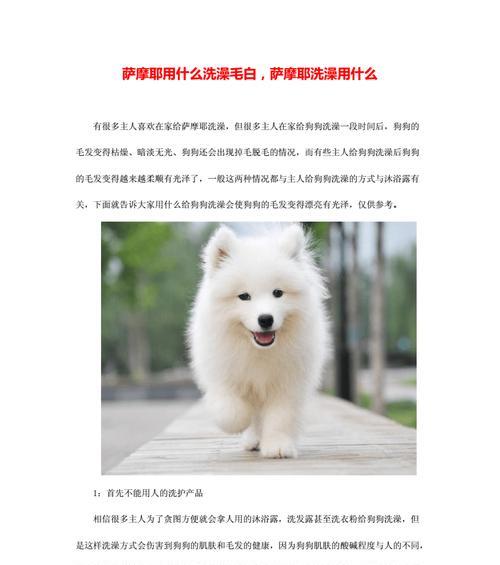 萨摩耶患犬瘟后何时能洗澡？（犬瘟的恢复过程、合适的洗澡时机以及注意事项）