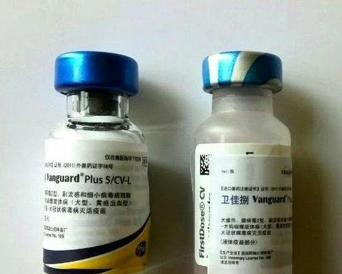 小狗出生后需要接种的重要疫苗（了解小狗疫苗接种计划，保护它们健康成长）