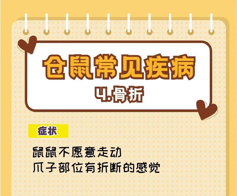 仓鼠常见疾病及预防措施（了解仓鼠疾病，守护宠物健康）