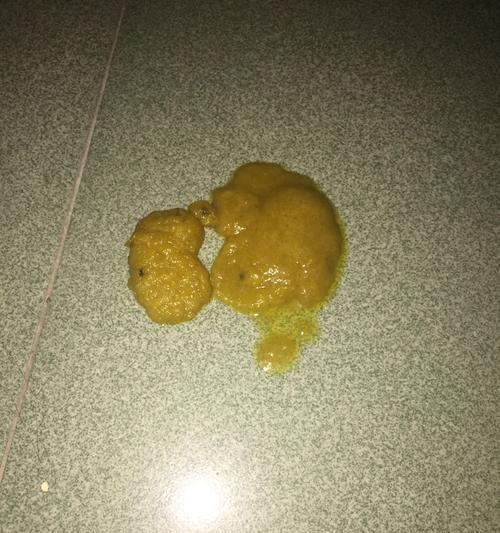 狗狗近期频繁拉稀的原因分析（探究狗狗拉稀背后的潜在问题）