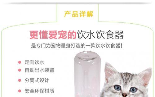 以泰迪推饭盆（改善泰迪进食体验的创新产品）