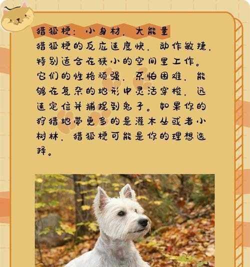探索以犬类试验为主题的科学价值（犬类试验在科学研究中的重要性与争议）
