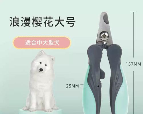 泰迪犬指甲剪（泰迪犬的指甲修剪技巧及防止伤害的方法）